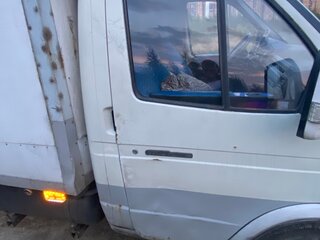2004 ГАЗ ГАЗель (3302), белый, 400000 рублей, вид 1