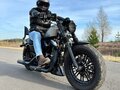2021 Harley-Davidson Sportster 1200, серый, 1250000 рублей