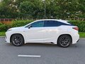 2020 Lexus RX 300 IV Рестайлинг, белый, 5250000 рублей - вид 3