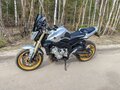 2006 Yamaha FZ1, серебристый, 430000 рублей - вид 9