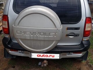 2008 Chevrolet Niva I, серебристый, 285000 рублей, вид 4