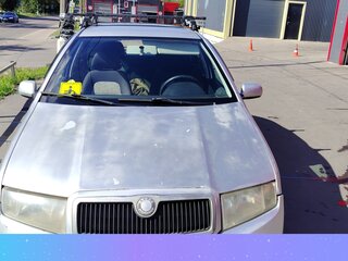 2003 Skoda Fabia I, серый, 250000 рублей, вид 1