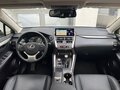 2019 Lexus NX 300h I Рестайлинг, белый, 4100000 рублей - вид 4