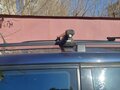 1998 Volkswagen Passat B5, синий, 350000 рублей - вид 9