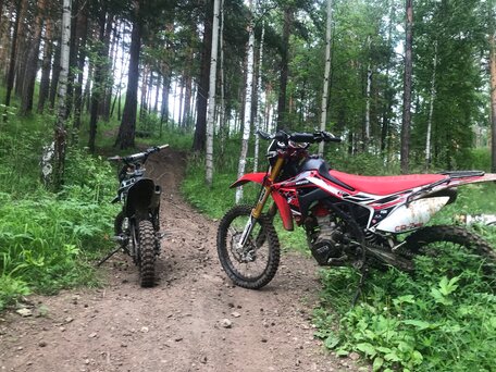 2023 Regulmoto CR-Z 300, красный, 230000 рублей, вид 4