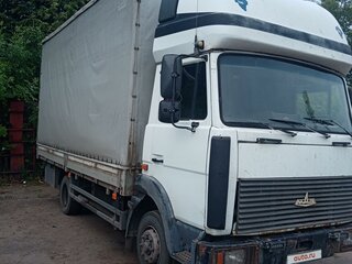 2006 МАЗ 4370, белый, 600000 рублей, вид 3