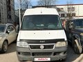 2011 Fiat Professional Ducato, белый, 850000 рублей