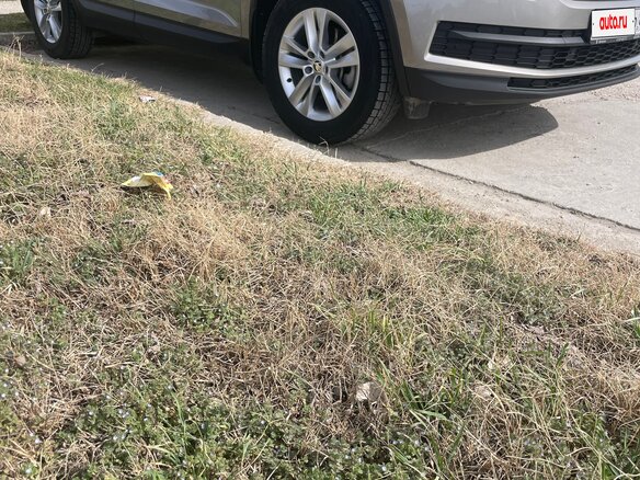 2019 Skoda Kodiaq I, бежевый, 3000000 рублей - вид 4