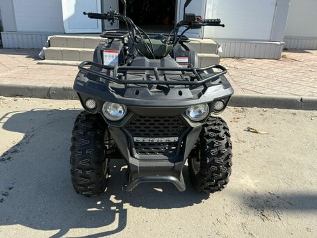 2024 Linhai M200, зелёный, 207000 рублей, вид 1
