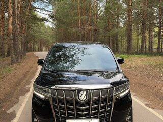 2019 Toyota Alphard III Рестайлинг, чёрный, 6950000 рублей, вид 2