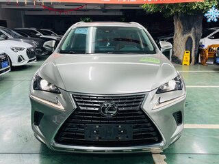 2021 Lexus NX 200 I Рестайлинг, серебристый, 3768000 рублей, вид 2
