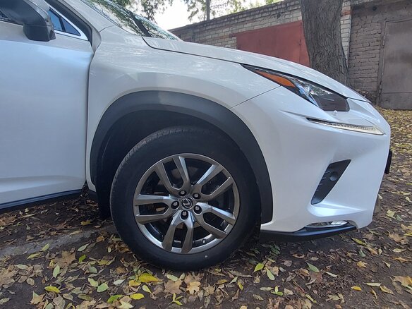 2018 Lexus NX 300 I Рестайлинг, белый, 3599000 рублей - вид 15
