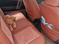 2010 Toyota Rush I, серый, 1000000 рублей - вид 5