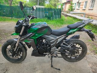 Regulmoto T-Leopard 300