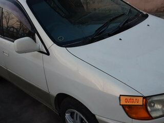 1998 Toyota Ipsum I (M10), белый, 600000 рублей, вид 1