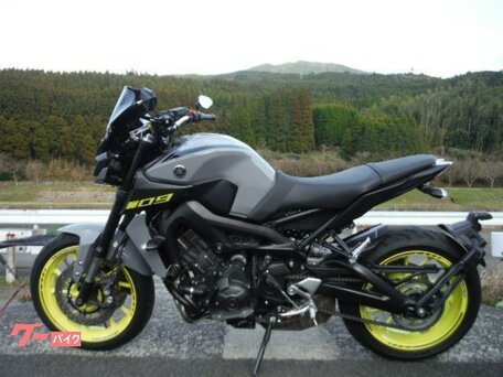 2017 Yamaha MT-09 (FZ-09), серый, 750000 рублей, вид 2