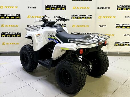 2025 Bison ATV200, белый, 218990 рублей, вид 3