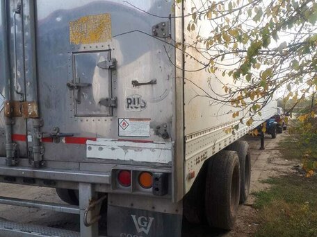 1995 Great Dane Termo King SB III, белый, 850000 рублей, вид 2