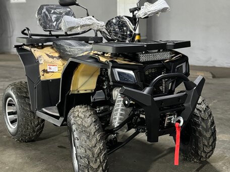 2025 Motoland Wild Track 200 X Pro, чёрный, 230000 рублей, вид 1