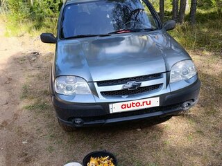 2011 Chevrolet Niva I Рестайлинг, серый, 500000 рублей, вид 1