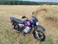 2019 Bajaj Boxer BM 125, синий, 80000 рублей - вид 1