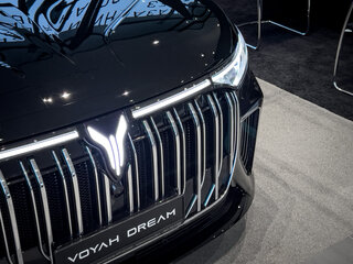 2026 Voyah Dream I, чёрный, 8800000 рублей, вид 5