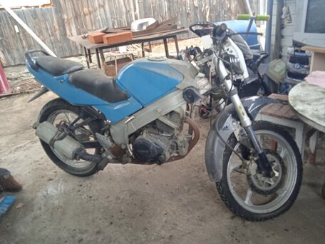 2013 Racer Caiman, синий, 30000 рублей, вид 4