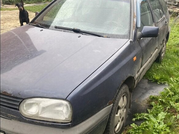 1994 Volkswagen Golf III, синий, 50000 рублей - вид 4