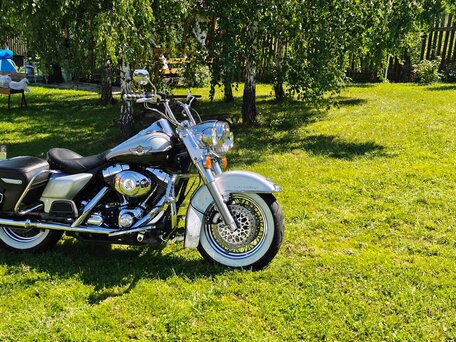 2003 Harley-Davidson Road King, серебристый, 750000 рублей, вид 4