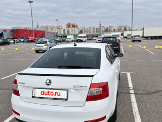 2016 Skoda Octavia III (A7), белый, 1600000 рублей, вид 5