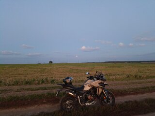 2025 Voge 625DSX, бежевый, 559000 рублей, вид 3