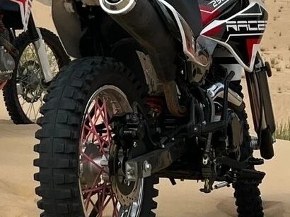 2020 Racer Panther, серый, 100000 рублей, вид 2