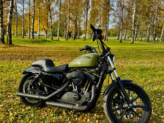 2019 Harley-Davidson Sportster 1200, чёрный, 1099000 рублей, вид 1