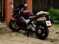 2002 Honda VFR 800, красный, 380000 рублей - вид 1