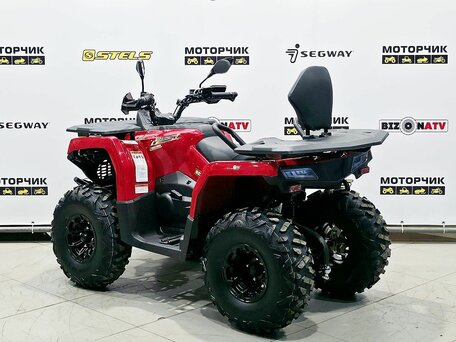 2026 Bizon YK250 LUX EFI, красный, 255000 рублей, вид 3