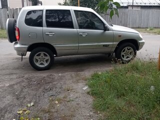 2004 Chevrolet Niva I, серебристый, 450000 рублей, вид 2