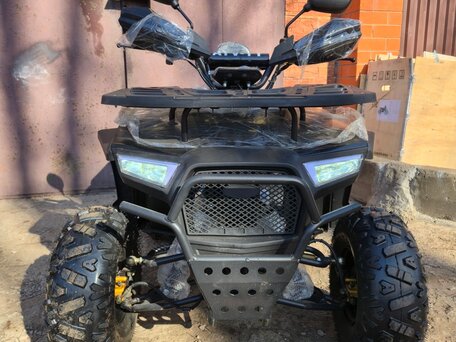 2025 Promax ATV 250, чёрный, 120000 рублей, вид 1