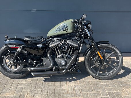 2021 Harley-Davidson Sportster 883, зелёный, 850000 рублей, вид 1