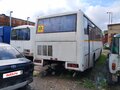 2006 ПАЗ 4230 Аврора, белый, 350000 рублей - вид 3