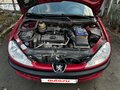 2004 Peugeot 206, красный, 120000 рублей - вид 11