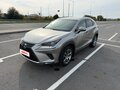 2017 Lexus NX 300 I Рестайлинг, серый, 3155000 рублей - вид 2