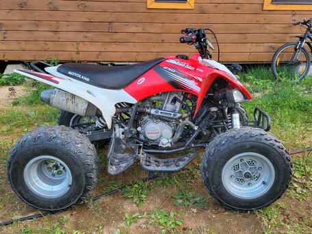 2023 Motoland ATV 250S, красный, 168000 рублей, вид 4