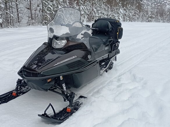 2021 Yamaha VK Professional, коричневый, 2200000 рублей