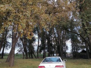 1997 Honda Prelude V, белый, 550000 рублей, вид 4