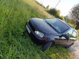 2009 Lada (ВАЗ) Kalina I, фиолетовый, 230000 рублей, вид 1