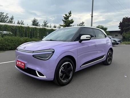Dongfeng Nammi 01