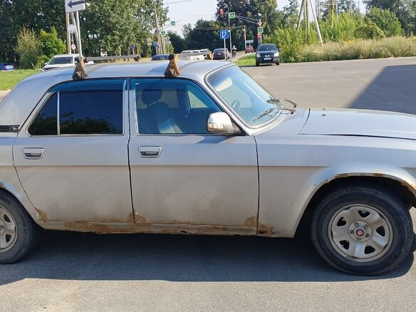 2007 ГАЗ 31105 «Волга», серебристый, 130000 рублей - вид 1