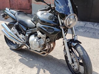 Yamaha FZX250 Zeal