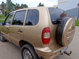 2004 Chevrolet Niva I, бежевый, 230000 рублей, вид 3