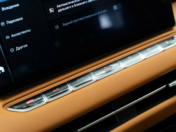 2024 Wey 80 37.96 kWh, золотистый - вид 21